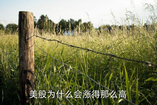 美股为什么会涨得那么高
