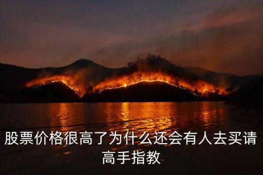 股票价格很高了为什么还会有人去买请高手指教
