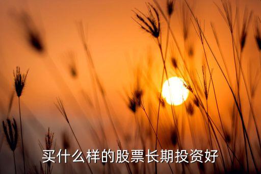 买什么样的股票长期投资好