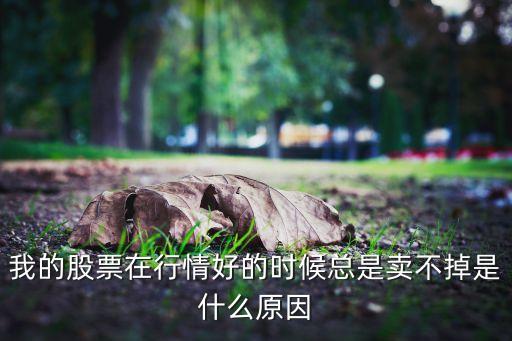 我的股票在行情好的时候总是卖不掉是什么原因