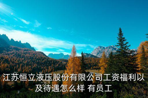 江苏恒立液压股份有限公司工资福利以及待遇怎么样 有员工
