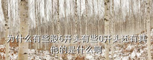 为什么有些股6开头有些0开头还有其他的是什么啊
