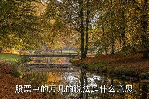 股票时万是什么意思，股权里的万股是什么意思