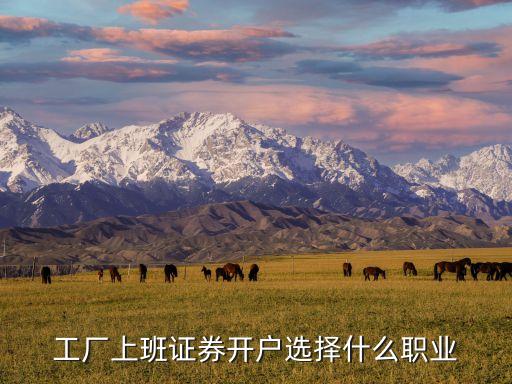 工厂上班证券开户选择什么职业