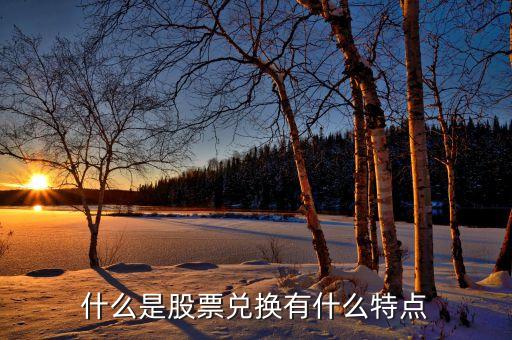 什么是股票兑换有什么特点