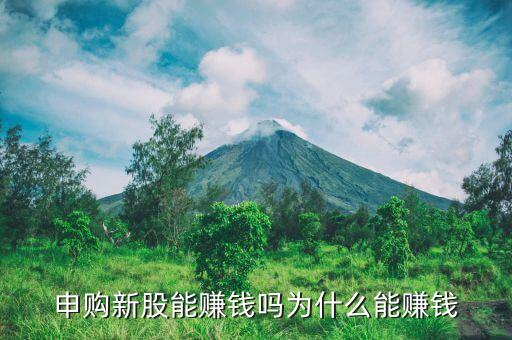申购新股能赚钱吗为什么能赚钱