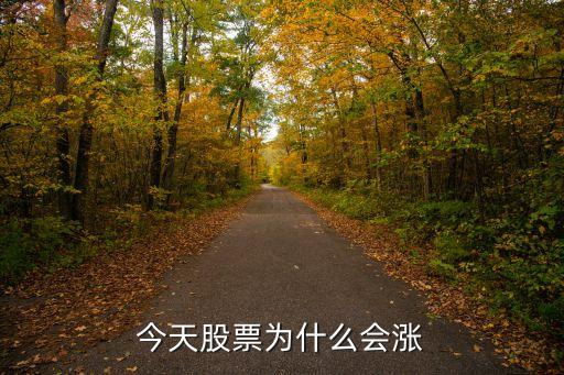 先锋新材今天股票为什么涨，今天股票为什么会涨