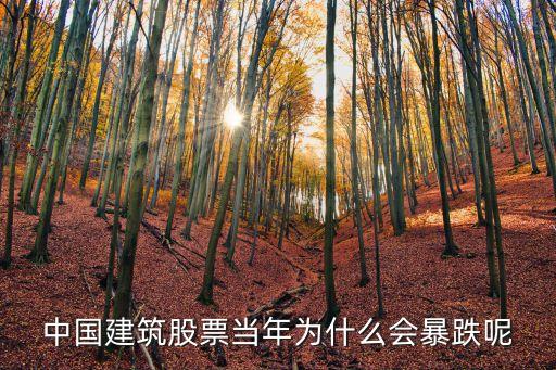 中国建筑股票当年为什么会暴跌呢