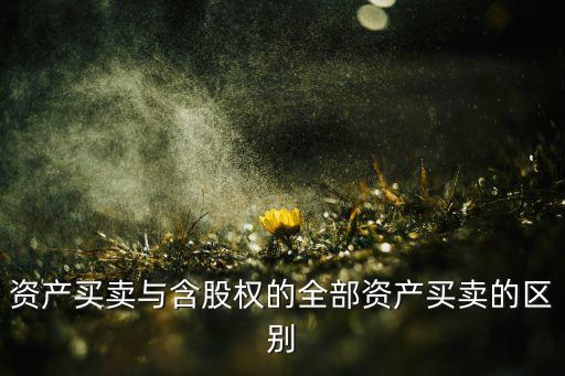 股票里什么是核心资产买卖，股票里面的资产