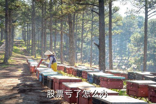 股票亏了怎么办