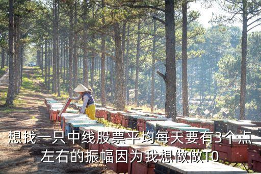 想找一只中线股票平均每天要有3个点左右的振幅因为我想做做T0