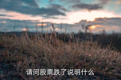 请问股票跌了说明什么