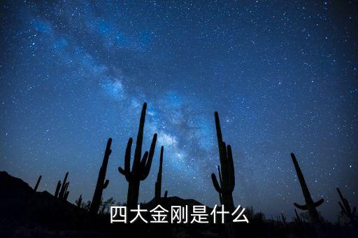 四大金刚是什么