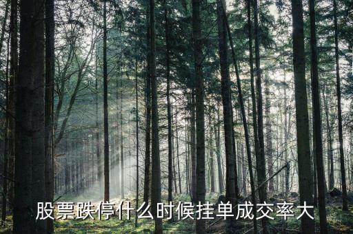 股票跌停什么时候挂单成交率大
