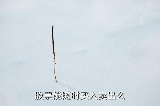 股票能随时买入卖出么