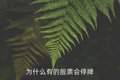 为什么有的股票会停牌