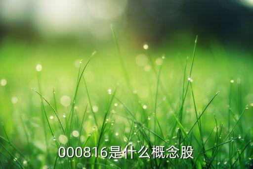 和元生物是什么概念的股票，吉林和元生物工程有限公司前身是什么