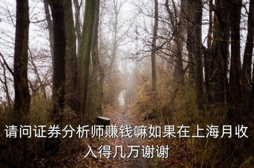 请问证券分析师赚钱嘛如果在上海月收入得几万谢谢