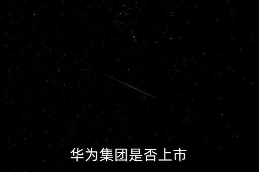 华为属于什么科技公司股票，华为集团是否上市
