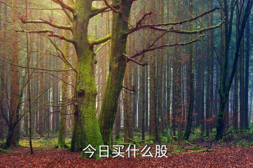今日买什么股