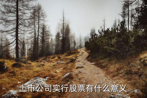 上市公司实行股票有什么意义