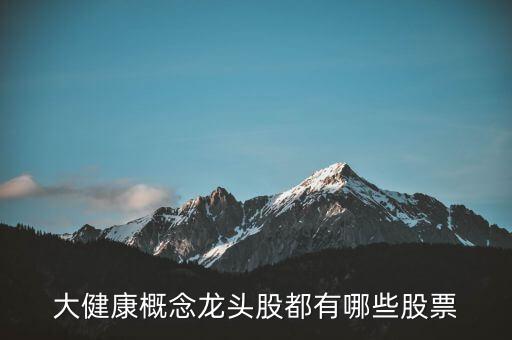 大健康概念龙头股都有哪些股票