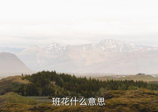 班花什么意思