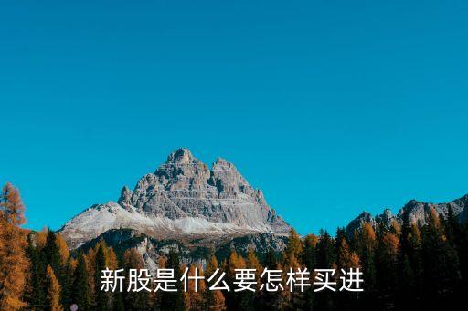 新股是什么要怎样买进