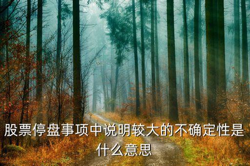 股票停盘事项中说明较大的不确定性是什么意思