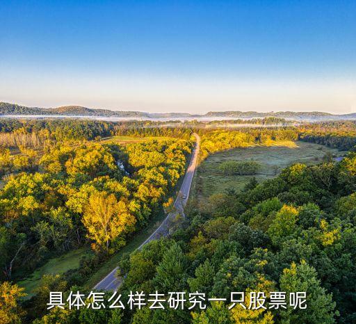 分析股票需要做什么研究，具体怎么样去研究一只股票呢