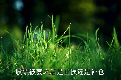 股票被套之后是止损还是补仓