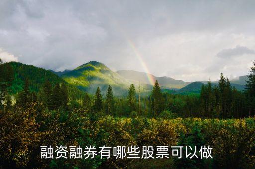 新融创做什么的股票，融创股票是什么意思