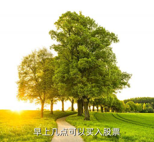 早上几点可以买入股票
