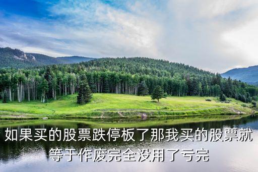如果买的股票跌停板了那我买的股票就等于作废完全没用了亏完
