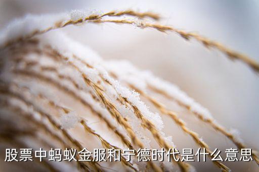 股票中蚂蚁金服和宁德时代是什么意思