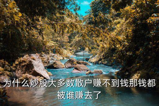 为什么炒股大多数散户赚不到钱那钱都被谁赚去了