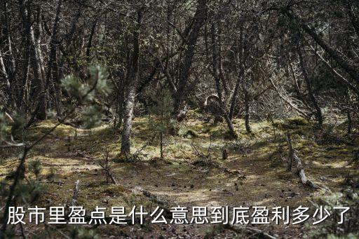 股票上周盈利是什么意思，股市的盈利盘是指什么意思呢