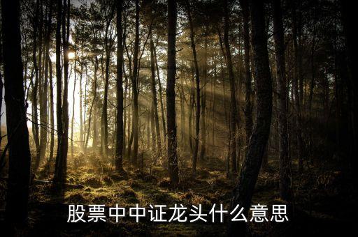 股票高标龙头是什么意思啊，股票中中证龙头什么意思