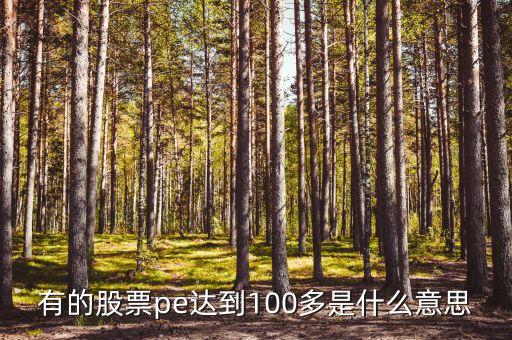有的股票pe达到100多是什么意思
