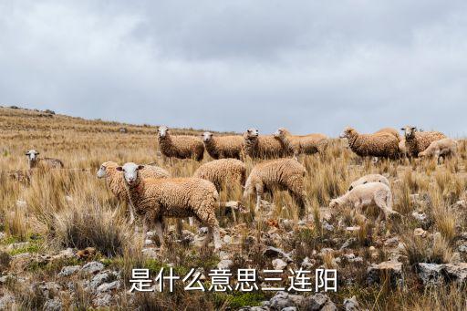 是什么意思三连阳