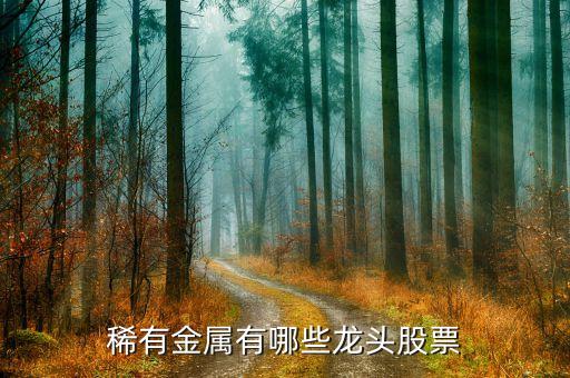 稀有金属有哪些龙头股票
