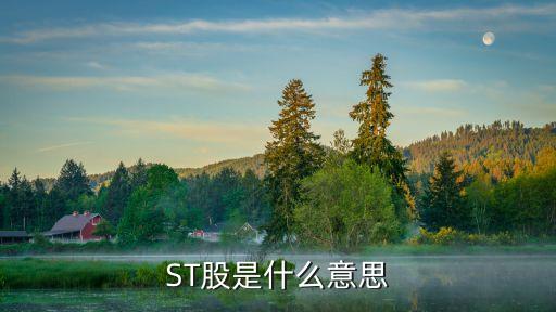 ST股是什么意思