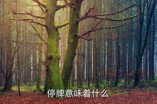 停牌意味着什么