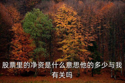 股票里的净资是什么意思他的多少与我有关吗