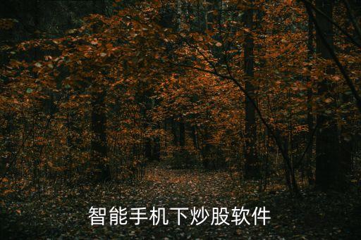 智能手机下炒股软件