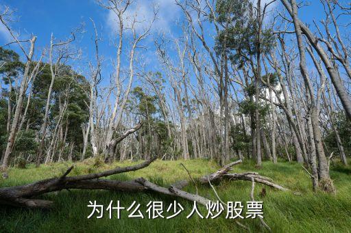 为什么很少人炒股票