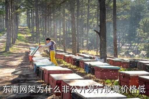东南网架到底是什么股票，主板股票有哪些做智慧城市