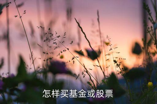 怎样买基金或股票