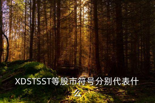 XDSTSST等股市符号分别代表什么