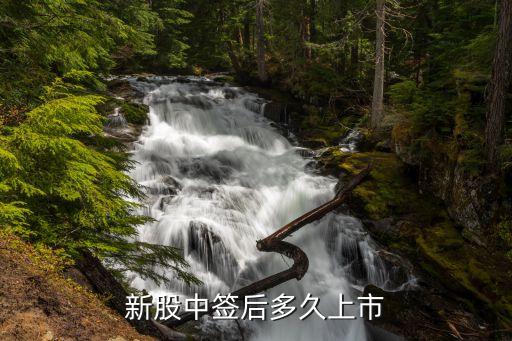 股票合富申购什么时候上市，新股申购中签后多久上市